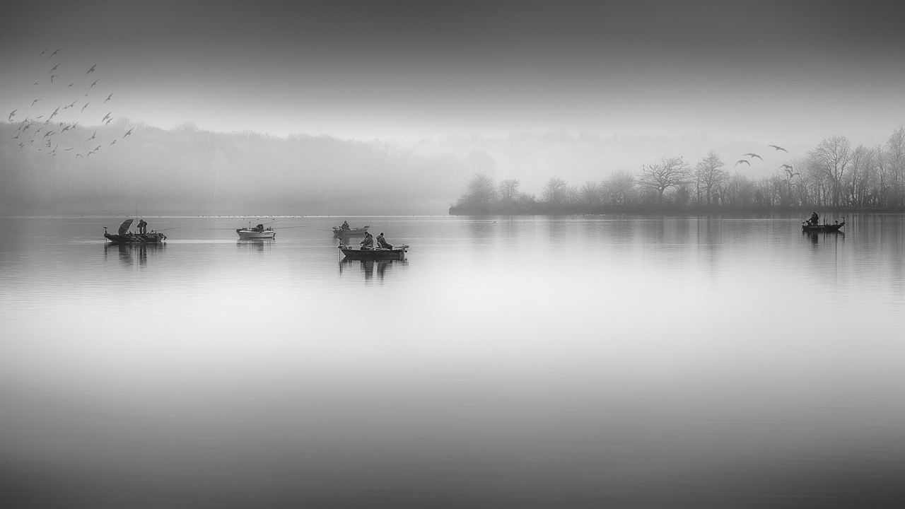 T2 Cayotte Dans la brume