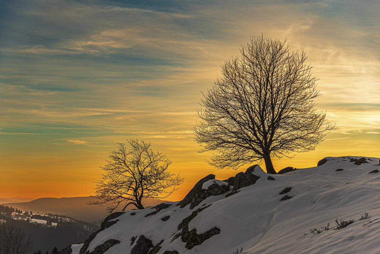 113 Mayer sur les crêtes BD